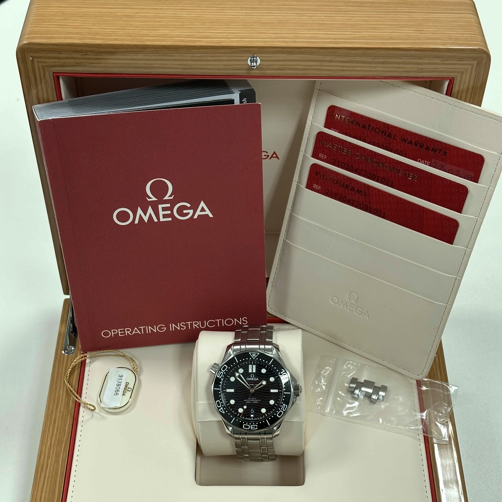 IMG_1724 Omega Seamaster Professional Diver